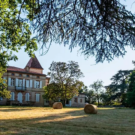 Chateau De Roche - Vivez La Vie De Chateau Pres De Toulouse